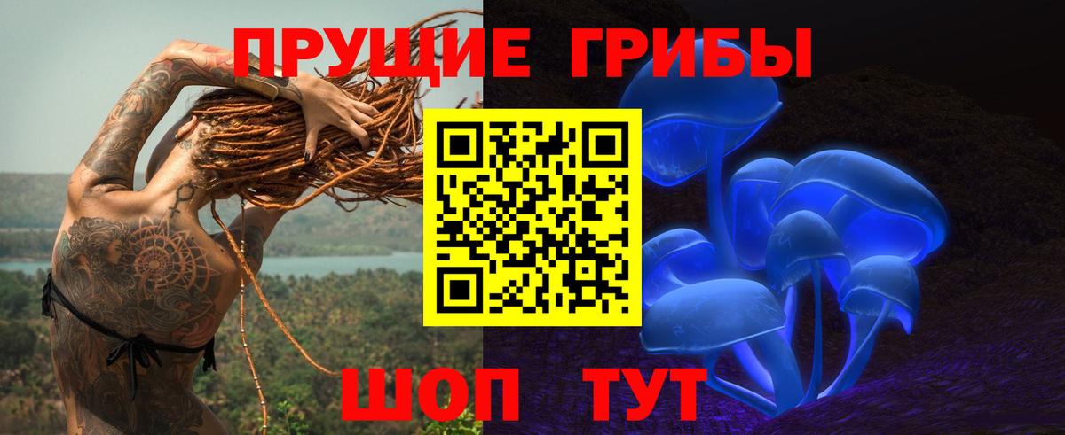 Псилоцибиновые грибы прущие грибы Железногорск