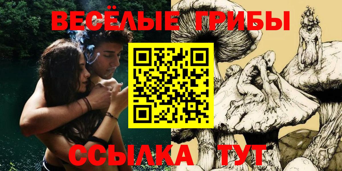 Псилоцибиновые грибы Psilocybe  Вход с VPN  Псилоцибиновые грибы Magic Shrooms  Железногорск 
